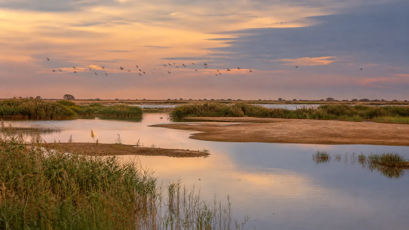 Diawling National Park